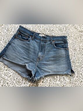 Abercrombie & Fitch Light Blue Denim Cutoff Shorts